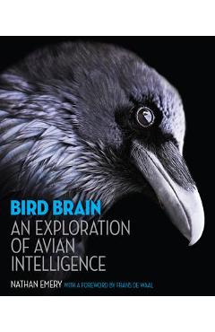 Bird Brain: An Exploration of Avian Intelligence - Nathan Emery