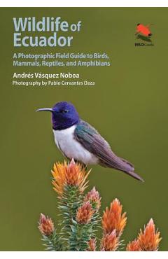 Wildlife of Ecuador: A Photographic Field Guide to Birds, Mammals, Reptiles, and Amphibians - Andres Vasquez Noboa