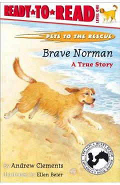 Brave Norman: A True Story - Andrew Clements