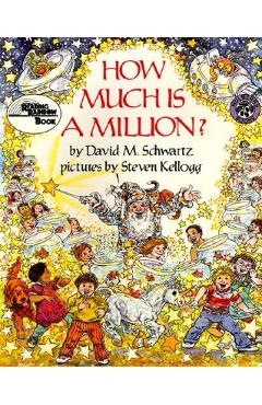 How Much Is a Million? - David M. Schwartz