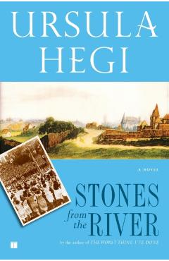 Stones from the River - Ursula Hegi
