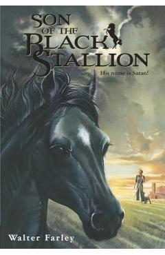 Son of the Black Stallion - Walter Farley