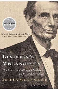 Lincoln\'s Melancholy: How Depression Challenged a President and Fueled His Greatness - Joshua Wolf Shenk