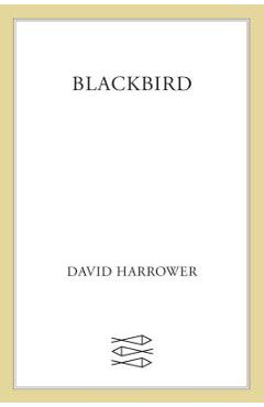 Blackbird - Harrower David