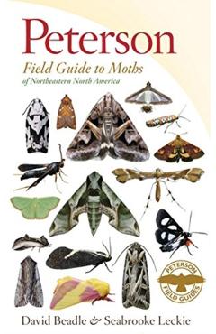 Peterson Field Guide to Moths of Northeastern North America - David Beadle
