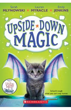 Upside-Down Magic (Upside-Down Magic #1) - Sarah Mlynowski