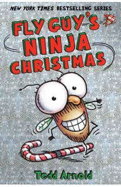 Fly Guy\'s Ninja Christmas - Tedd Arnold