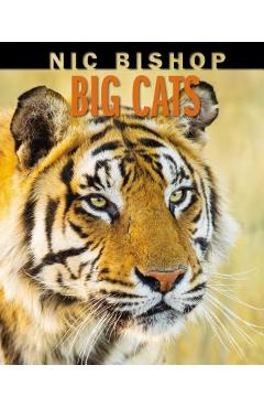 Nic Bishop Big Cats - Nic Bishop