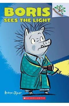 Boris Sees the Light: A Branches Book (Boris #4) - Andrew Joyner