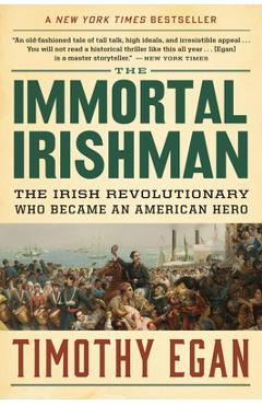 The Immortal Irishman: The Irish Revolutionary Who Became an American Hero