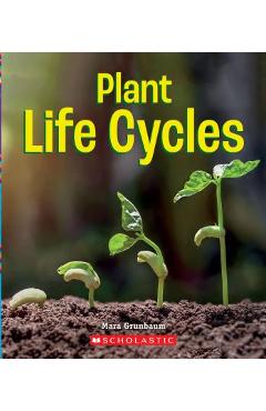 Plant Life Cycles - Mara Grunbaum