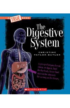 The Digestive System - Christine Taylor-butler - Imagine 1
