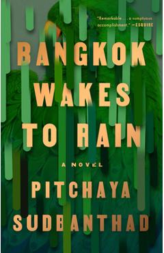 Bangkok Wakes to Rain - Pitchaya Sudbanthad