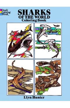 Sharks of the World Coloring Book - Llyn Hunter