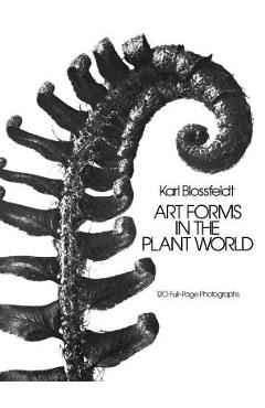 Art Forms in the Plant World - Karl Blossfeldt