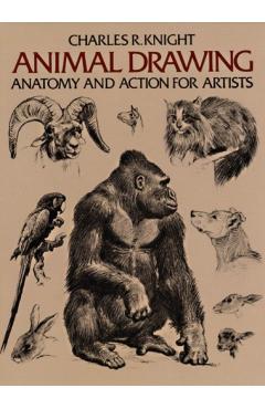 Animal Drawing: Its Origins, Ancient Forms and Modern Usage - Charles Knight - Imagine 1
