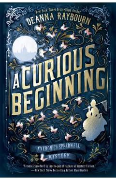 A Curious Beginning - Deanna Raybourn