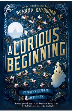 A Curious Beginning - Deanna Raybourn