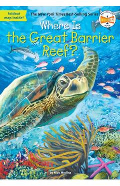 Where Is the Great Barrier Reef? - Nico Medina