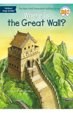Where Is the Great Wall? - Patricia Brennan Demuth