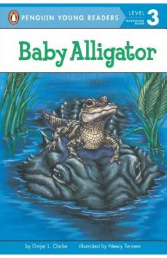 Baby alligator - ginjer l. clarke