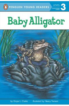Baby Alligator - Ginjer L. Clarke