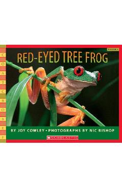 Red-Eyed Tree Frog - Joy Cowley