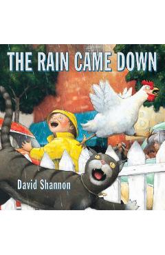 The Rain Came Down - David Shannon
