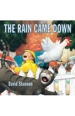 The Rain Came Down - David Shannon