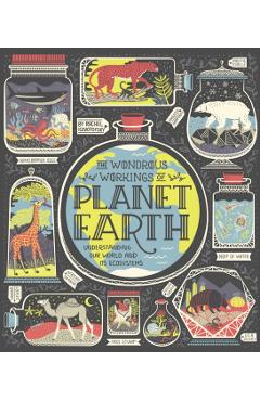 The Wondrous Workings of Planet Earth: Understanding Our World and Its Ecosystems - Rachel Ignotofsky