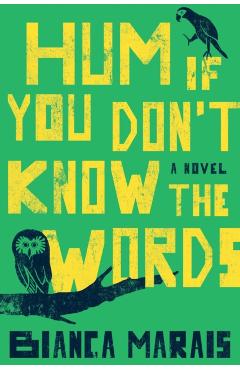 Hum If You Don't Know the Words - Bianca Marais