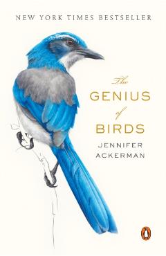 The Genius of Birds - Jennifer Ackerman