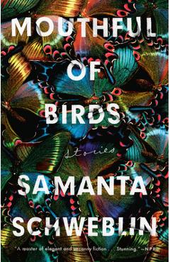 Mouthful of Birds: Stories - Samanta Schweblin