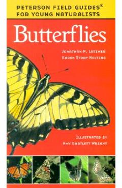 Butterflies - Karen Stray Nolting