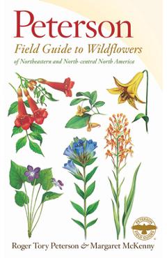 A Peterson Field Guide to Wildflowers: Northeastern and North-Central North America - Roger Tory Peterson