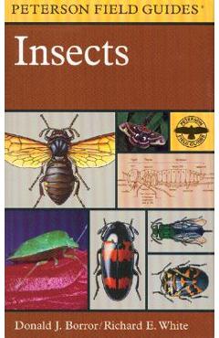 A Peterson Field Guide to Insects: America North of Mexico - Donald J. Borror