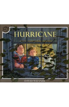 Hurricane - David Wiesner - Imagine 1