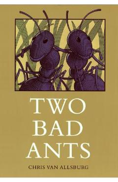 Two Bad Ants