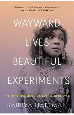Wayward Lives, Beautiful Experiments: Intimate Histories of Riotous Black Girls, Troublesome Women, and Queer Radicals - Saidiya Hartman