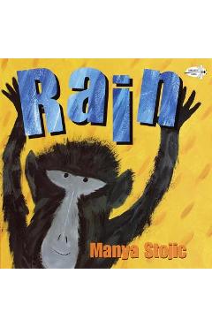 Rain - Manya Stojic - Imagine 1