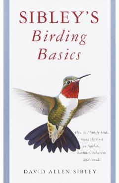 Sibley's Birding Basics - David Allen Sibley