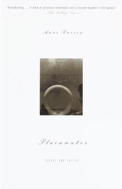Plainwater: Essays and Poetry - Anne Carson