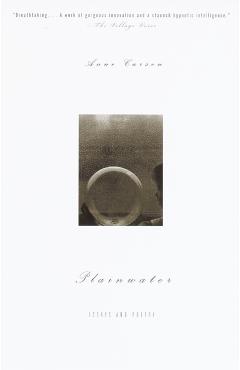 Plainwater: Essays and Poetry - Anne Carson