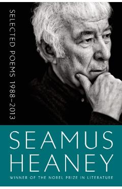 Selected Poems 1988-2013 - Seamus Heaney