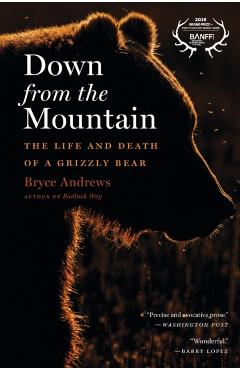 Down from the Mountain: The Life and Death of a Grizzly Bear - Bryce Andrews