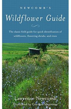 Newcomb\'s Wildflower Guide - Lawrence Newcomb