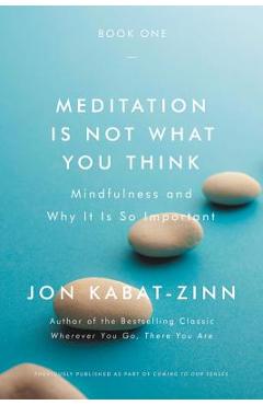 Meditation Is Not What You Think: Mindfulness and Why It Is So Important - Jon Kabat-zinn