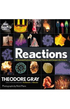 Reactions: An Illustrated Exploration of Elements, Molecules, and Change in the Universe - Theodore Gray