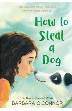How to Steal a Dog - Barbara O\'connor