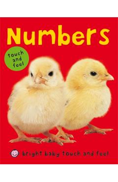 Numbers - Roger Priddy